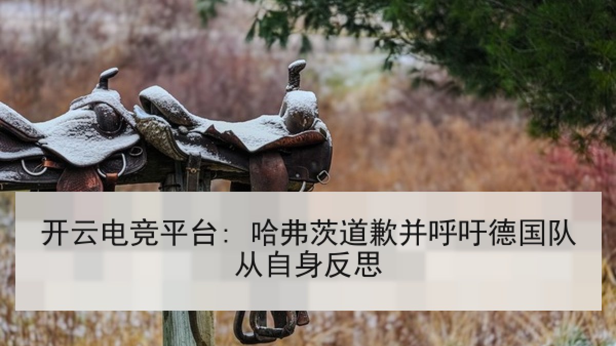 开云电竞平台: 哈弗茨道歉并呼吁德国队从自身反思
