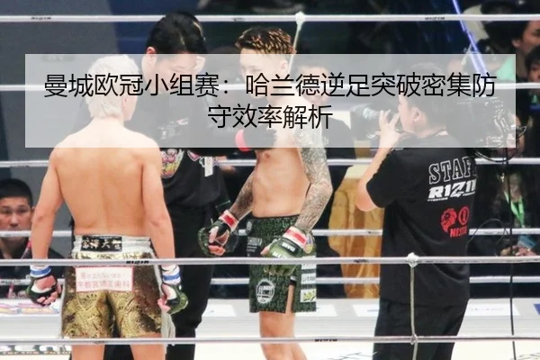 man-cheng-ou-guan-xiao-zu-sai-ha-lan-de-ni-zu-tu-po-mi-ji-fang-shou-xiao-lv-jie-xi-2-584.jpg